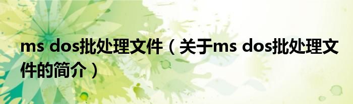 ms dos批處理文件（關(guān)于ms dos批處理文件的簡(jiǎn)介）