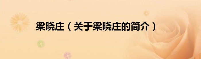 梁曉莊（關(guān)于梁曉莊的簡(jiǎn)介）