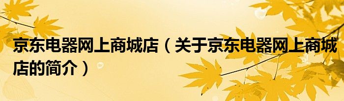 京東電器網(wǎng)上商城店（關(guān)于京東電器網(wǎng)上商城店的簡(jiǎn)介）