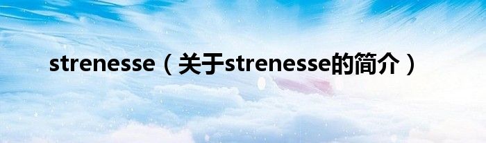 strenesse（關于strenesse的簡介）