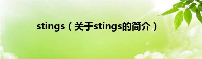 stings（關(guān)于stings的簡介）