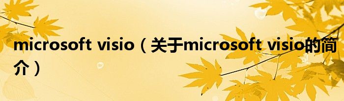 microsoft visio（關(guān)于microsoft visio的簡(jiǎn)介）