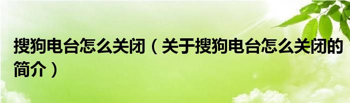 搜狗電臺(tái)怎么關(guān)閉（關(guān)于搜狗電臺(tái)怎么關(guān)閉的簡(jiǎn)介）