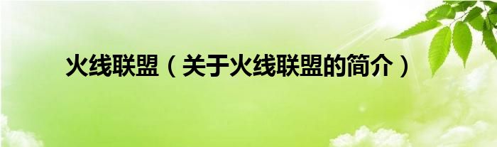 火線聯(lián)盟（關(guān)于火線聯(lián)盟的簡(jiǎn)介）