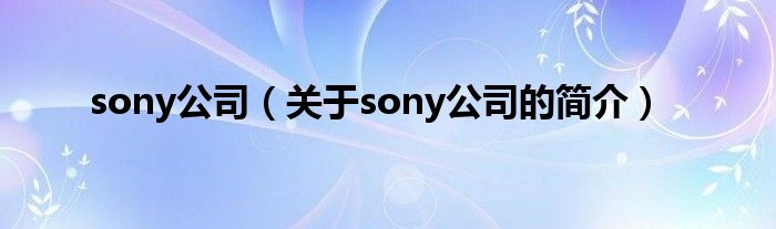 sony公司（關于sony公司的簡介）