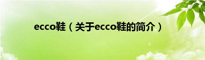 ecco鞋（關于ecco鞋的簡介）