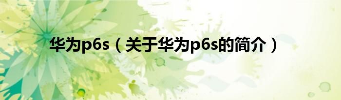 華為p6s（關于華為p6s的簡介）