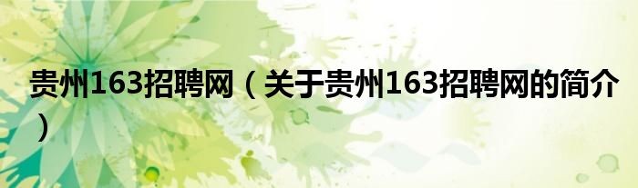 貴州163招聘網(wǎng)（關(guān)于貴州163招聘網(wǎng)的簡介）