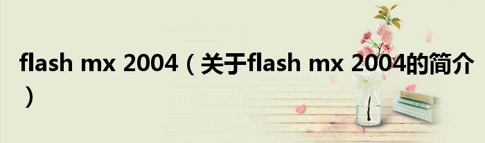 flash mx 2004（關(guān)于flash mx 2004的簡介）