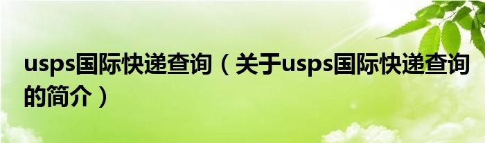 usps國際快遞查詢（關(guān)于usps國際快遞查詢的簡(jiǎn)介）