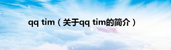 qq tim（關(guān)于qq tim的簡介）