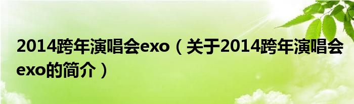 2014跨年演唱會exo（關(guān)于2014跨年演唱會exo的簡介）