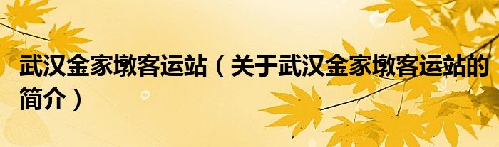 武漢金家墩客運(yùn)站（關(guān)于武漢金家墩客運(yùn)站的簡介）