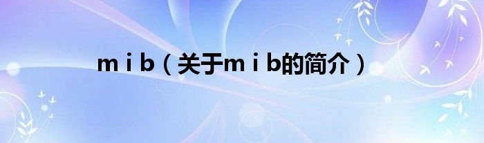 m i b（關(guān)于m i b的簡介）