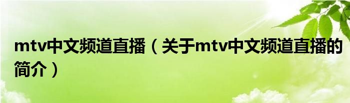 mtv中文頻道直播（關(guān)于mtv中文頻道直播的簡(jiǎn)介）