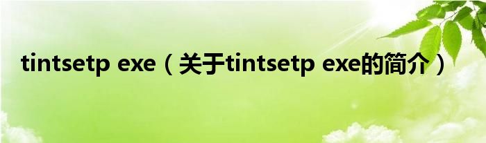 tintsetp exe（關于tintsetp exe的簡介）