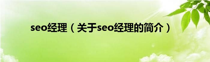 seo經(jīng)理（關(guān)于seo經(jīng)理的簡介）