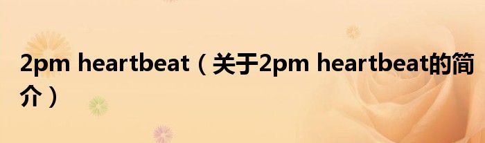 2pm heartbeat（關于2pm heartbeat的簡介）