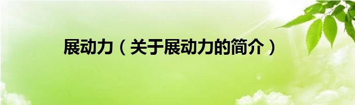 展動力（關(guān)于展動力的簡介）