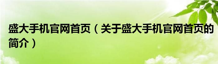 盛大手機官網(wǎng)首頁（關(guān)于盛大手機官網(wǎng)首頁的簡介）