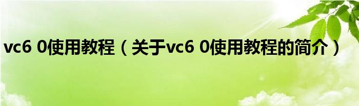 vc6 0使用教程（關(guān)于vc6 0使用教程的簡介）