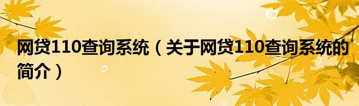 網貸110查詢系統(tǒng)（關于網貸110查詢系統(tǒng)的簡介）