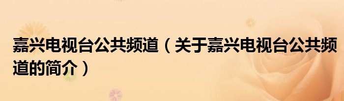 嘉興電視臺公共頻道（關(guān)于嘉興電視臺公共頻道的簡介）