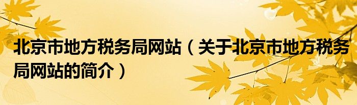 北京市地方稅務(wù)局網(wǎng)站（關(guān)于北京市地方稅務(wù)局網(wǎng)站的簡(jiǎn)介）