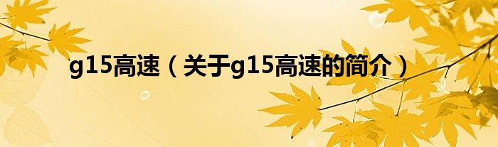 g15高速（關于g15高速的簡介）