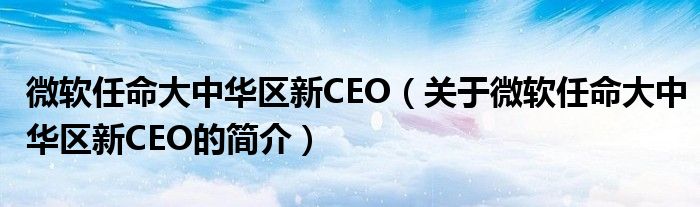 微軟任命大中華區(qū)新CEO（關于微軟任命大中華區(qū)新CEO的簡介）