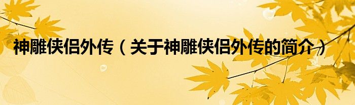 神雕俠侶外傳（關(guān)于神雕俠侶外傳的簡介）