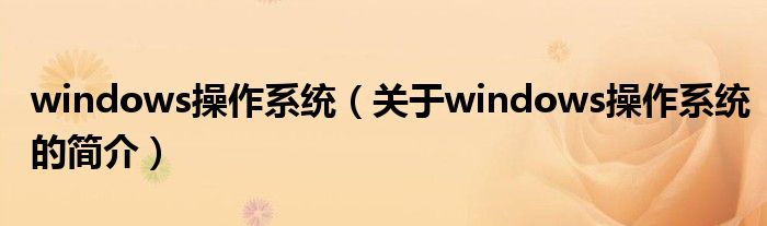 windows操作系統(tǒng)（關(guān)于windows操作系統(tǒng)的簡介）