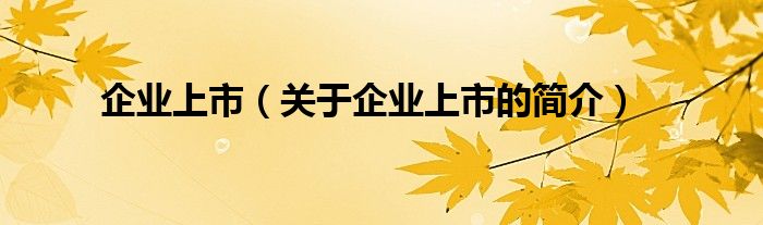 企業(yè)上市（關(guān)于企業(yè)上市的簡(jiǎn)介）