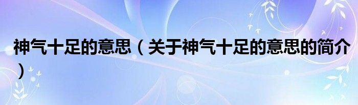 神氣十足的意思（關(guān)于神氣十足的意思的簡介）