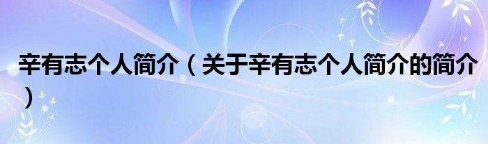 辛有志個人簡介（關(guān)于辛有志個人簡介的簡介）