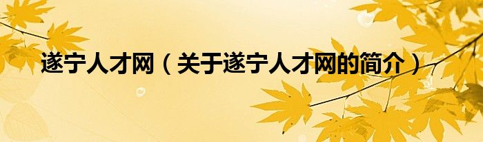 遂寧人才網(wǎng)（關于遂寧人才網(wǎng)的簡介）