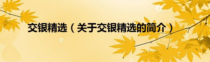 交銀精選（關(guān)于交銀精選的簡介）