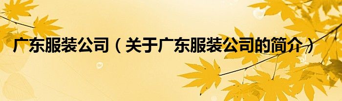 廣東服裝公司（關(guān)于廣東服裝公司的簡介）