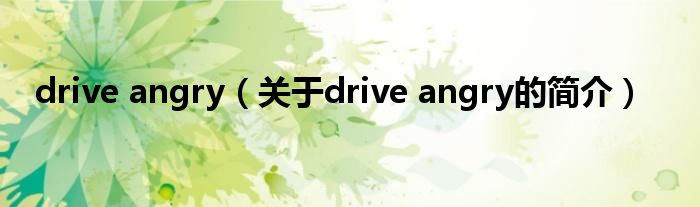 drive angry（關(guān)于drive angry的簡介）