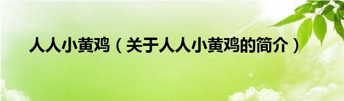 人人小黃雞（關(guān)于人人小黃雞的簡(jiǎn)介）