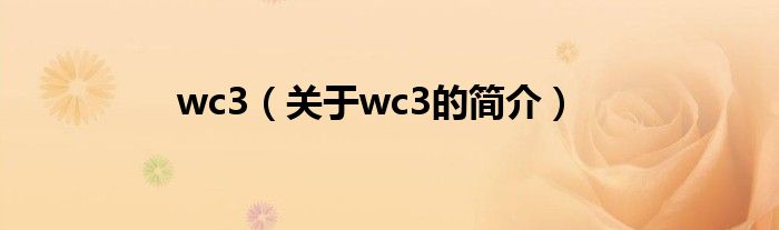 wc3（關(guān)于wc3的簡介）