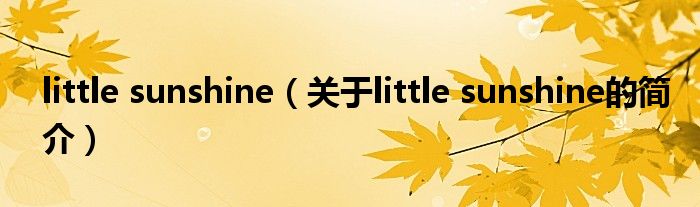 little sunshine（關(guān)于little sunshine的簡介）