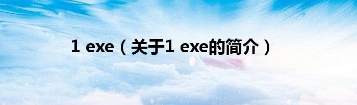 1 exe（關(guān)于1 exe的簡介）