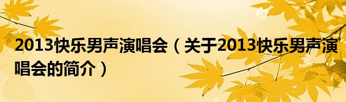 2013快樂男聲演唱會（關于2013快樂男聲演唱會的簡介）