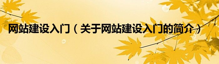 網(wǎng)站建設入門（關(guān)于網(wǎng)站建設入門的簡介）