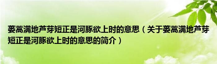 蔞蒿滿地蘆芽短正是河豚欲上時(shí)的意思（關(guān)于蔞蒿滿地蘆芽短正是河豚欲上時(shí)的意思的簡介）