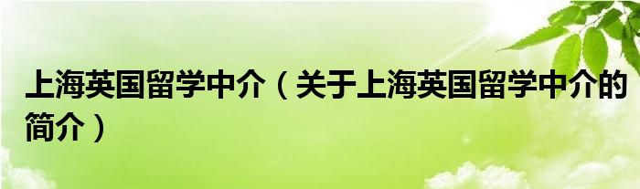 上海英國留學(xué)中介（關(guān)于上海英國留學(xué)中介的簡介）