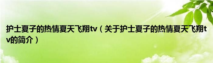 護士夏子的熱情夏天飛翔tv（關(guān)于護士夏子的熱情夏天飛翔tv的簡介）