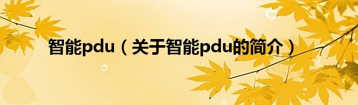 智能pdu（關于智能pdu的簡介）