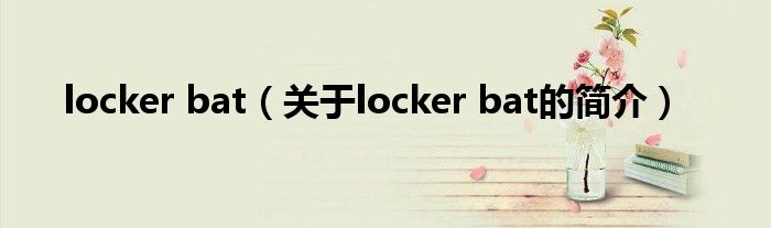 locker bat（關于locker bat的簡介）